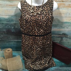 Loft  dress size 6 petite leopard print